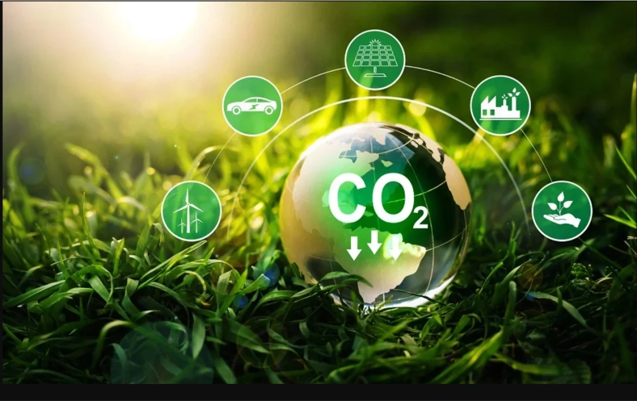 Tín chỉ Carbon