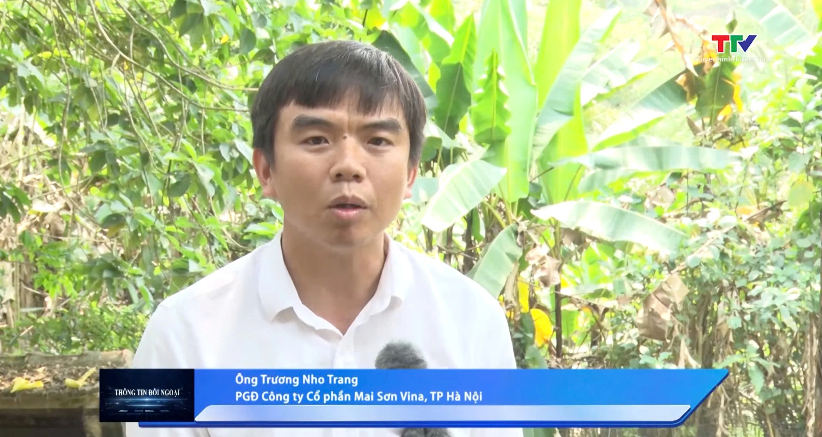 Rừng Thanh Hóa hướng tới tiêu chuẩn quốc tế